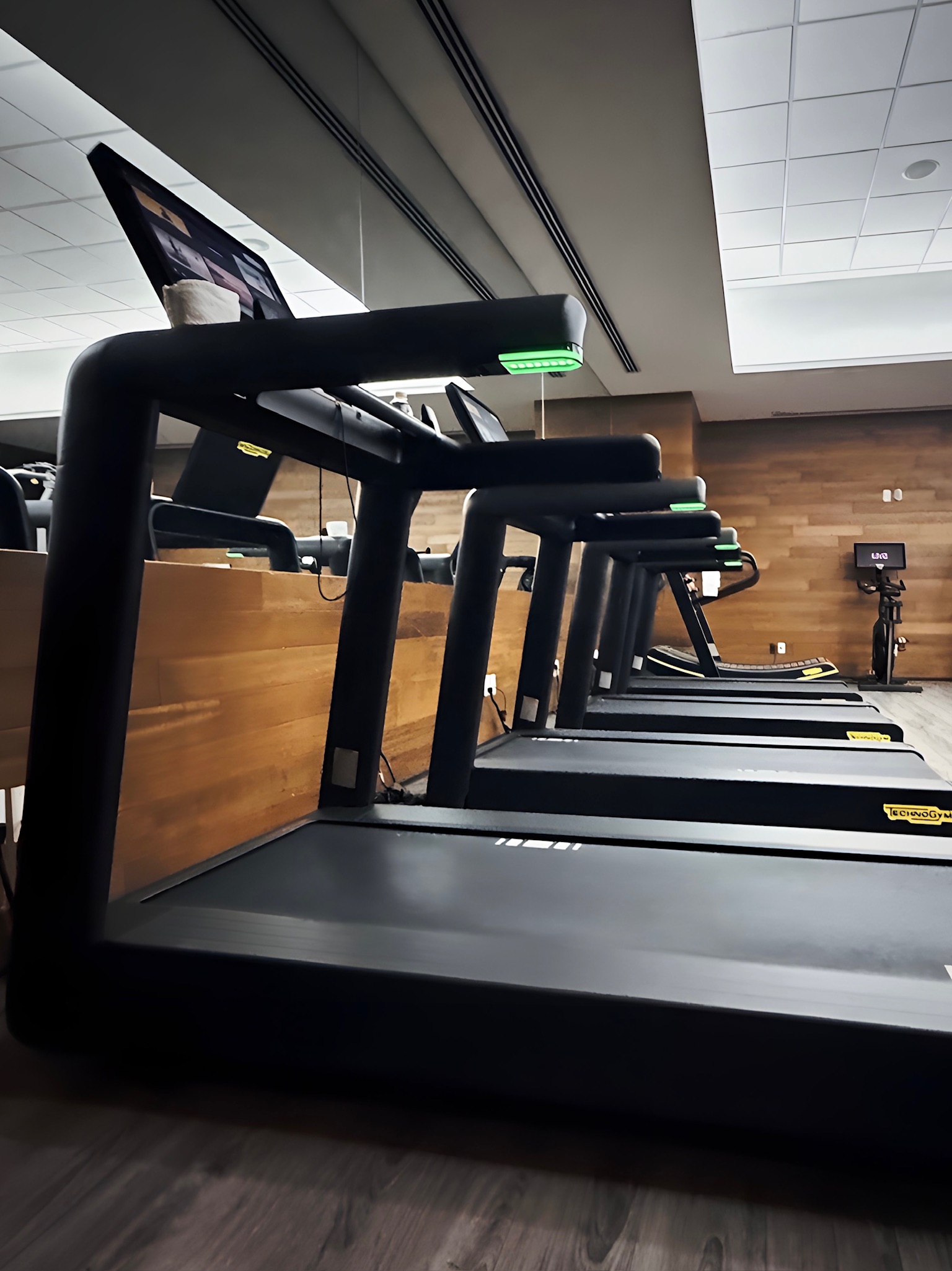 Proyecto Aqua - aqua1.JPG