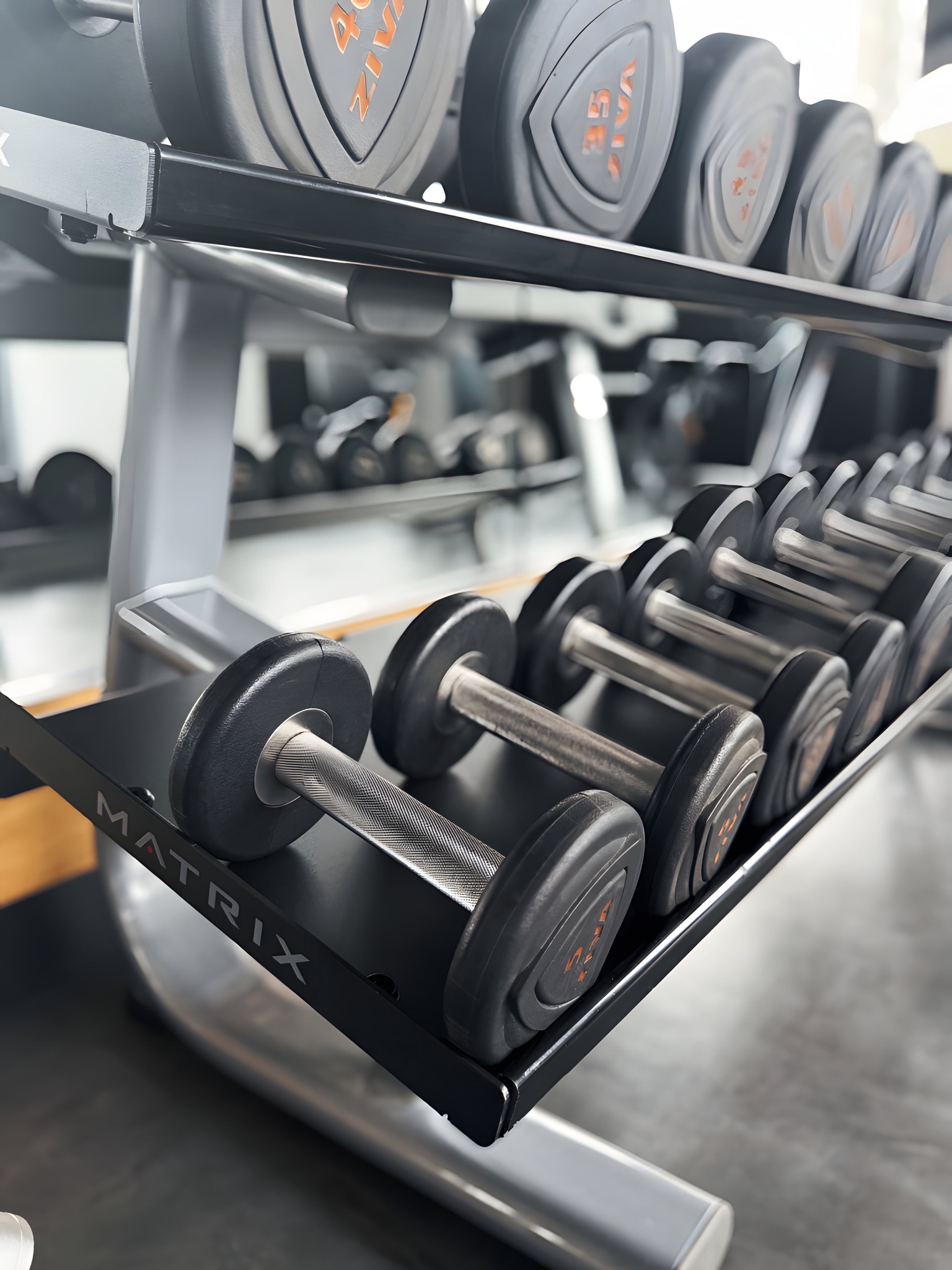 Proyecto Bosque Real - bosquereal12.JPG