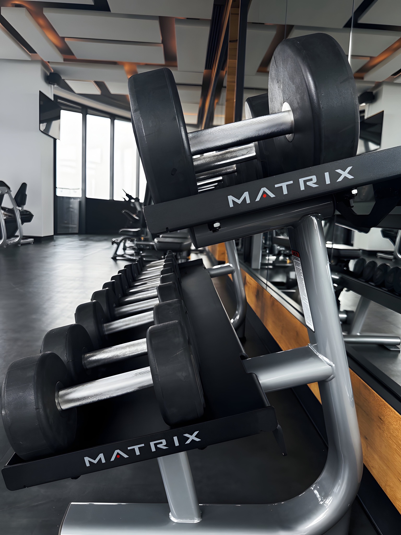 Proyecto Bosque Real - bosquereal13.JPG