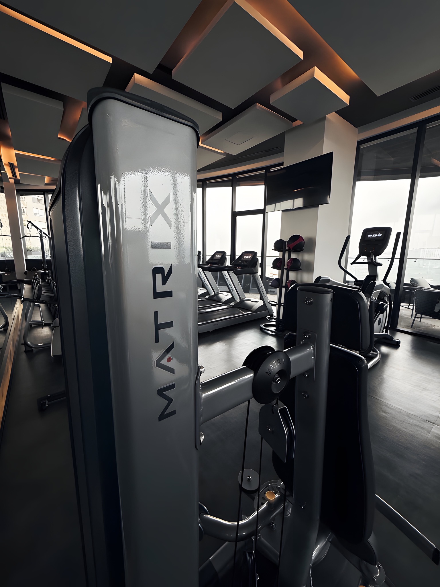 Proyecto Bosque Real - bosquereal9.JPG