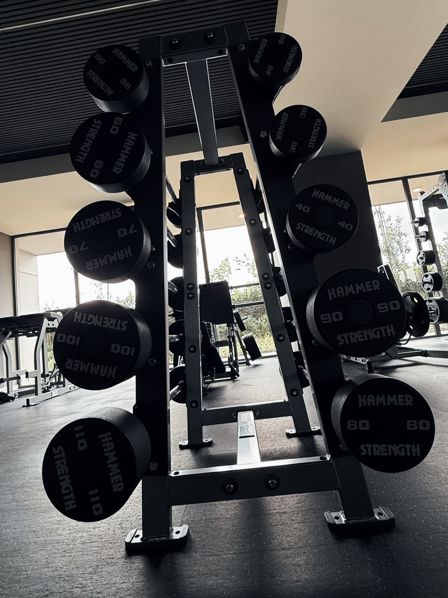 Proyecto Bosques de las Lomas - lomas2.jpeg