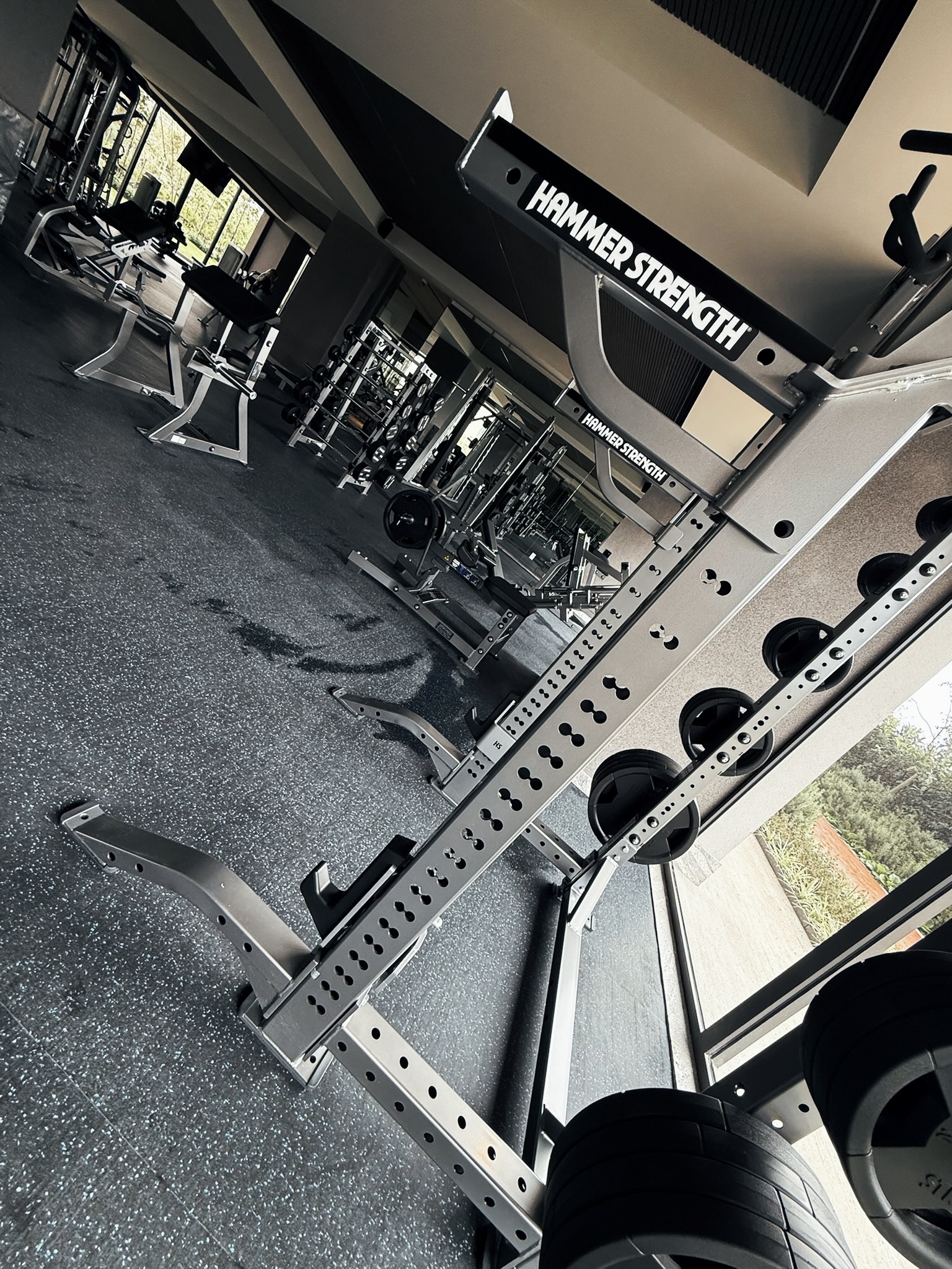 Proyecto Bosques de las Lomas - lomas3.jpeg