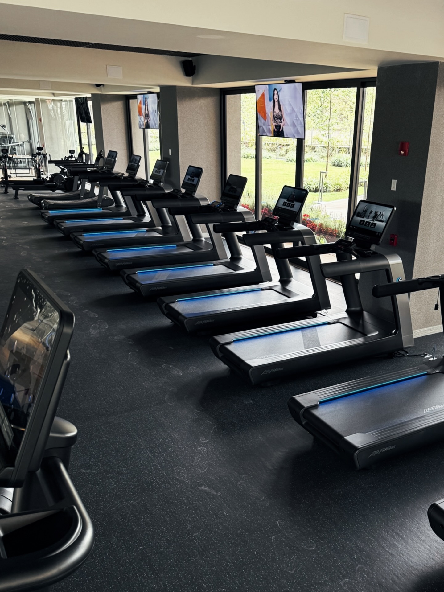 Proyecto Bosques de las Lomas - lomas8.jpeg